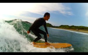 ウッドデザイン賞　入賞!!