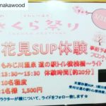 3/31 さくらまつり in もみじ川温泉 にてお花見SUP体験!