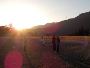 おるん？おるよ(OLUYO)