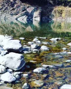 今日もお疲れ様(^^) 癒しの音をどうぞ〜