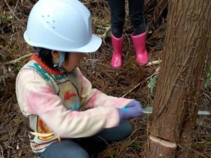 那賀川こまちふるさと応援隊