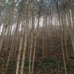 何かを感じたなんやろ?