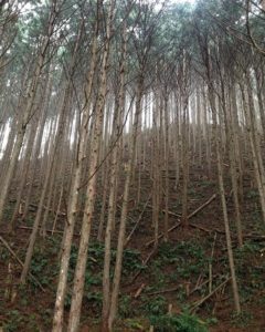 何かを感じたなんやろ?