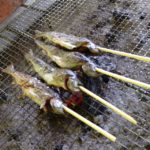 四季美谷温泉のジビエフェスティバルのお手伝いアメゴ釣りからの串焼き!