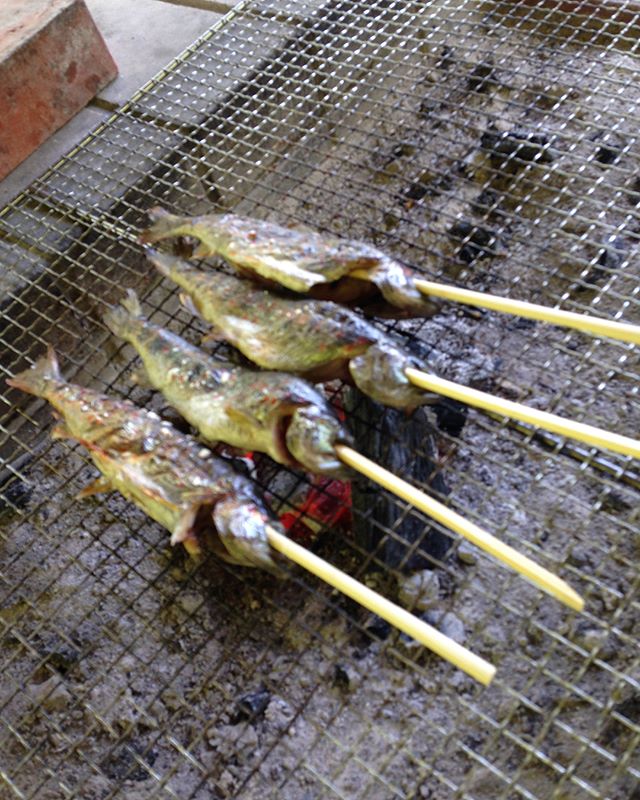 四季美谷温泉のジビエフェスティバルのお手伝いアメゴ釣りからの串焼き！