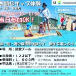 木頭杉サップ体験 明日開催します！