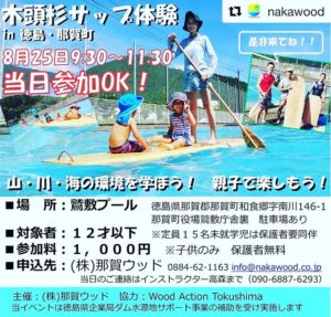 木頭杉サップ体験 明日開催します！