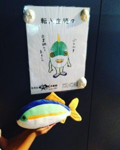 室戸廃校水族館に行ってきました～