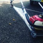 相生晩茶　畑の剪定作業をお手伝い