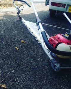 相生晩茶　畑の剪定作業をお手伝い