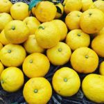 元気になるスマイル色!木頭柚子 ご注文受付中!