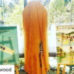 木頭杉ボード  東京にて展示中!