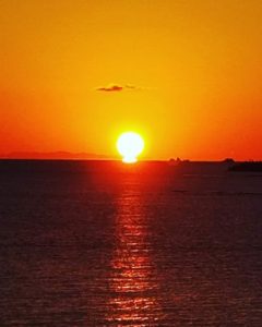 平成３１年　今年もみなさんが幸せになれますように