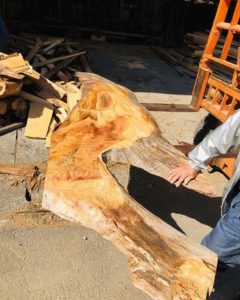 個性的な大径木材をある事に使います(^^)