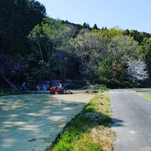 ２つ目の田んぼの”代かき”中です！