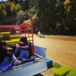 田植えー今年は豊作でありますように(^^)