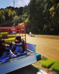 田植えー今年は豊作でありますように(^^)