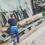 木頭杉の新たなプロジェクト　匠とともに