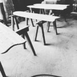 KUKUアライア　　いろんな魚たちがまもなく海に！