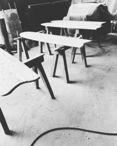 KUKUアライア　　いろんな魚たちがまもなく海に！