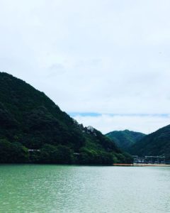 台風10号が去って・・・