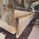 木頭杉の製材をお手伝い