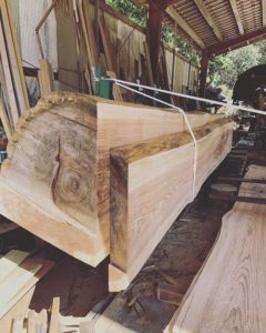 木頭杉の製材をお手伝い