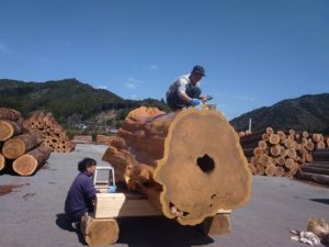 御神木を加工してます！