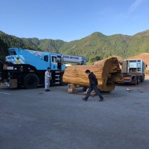 御神木設置シークエンス動画！