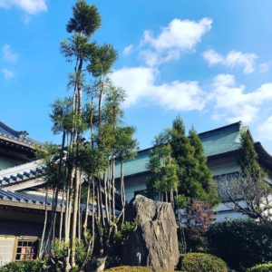 鎌倉の庭師さんたちと立江寺へ！